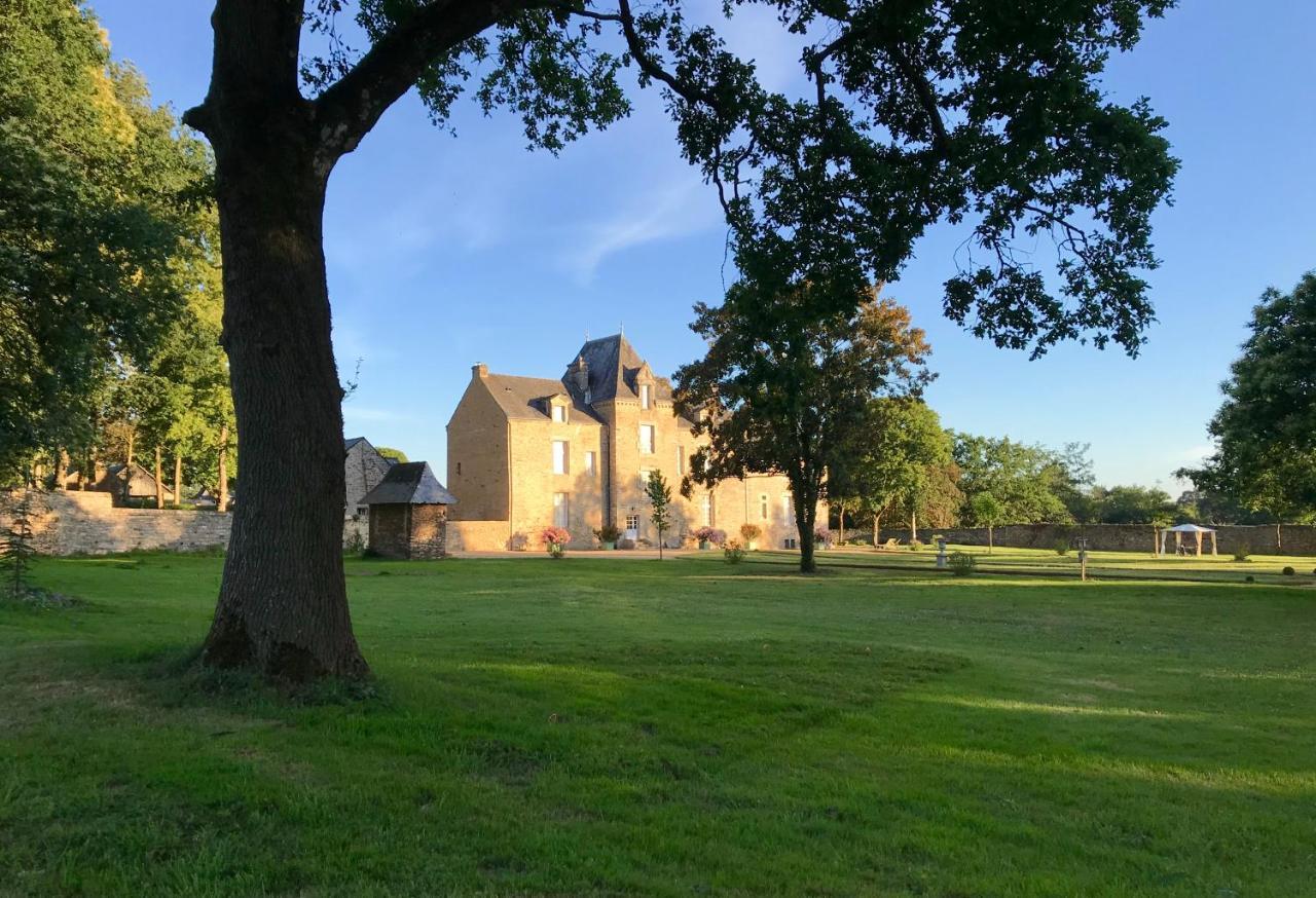 Chateau De Cadouzan Saint-Dolay Екстериор снимка