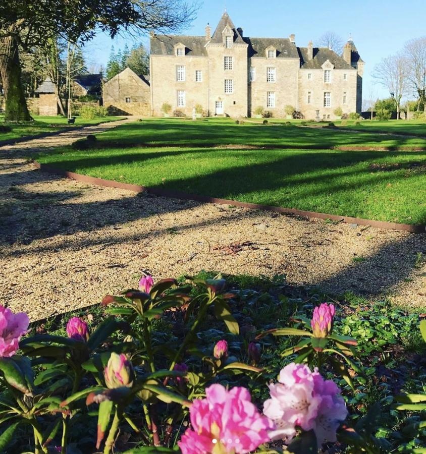 Chateau De Cadouzan Saint-Dolay Екстериор снимка